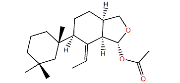 16-Deacetoxy-9,11-dihydrogracilin A